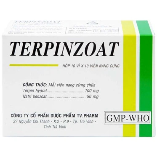 Thuốc Terpinzoat TV.PHARM làm loãng đờm và hỗ trợ điều trị các triệu chứng ho (100 viên)