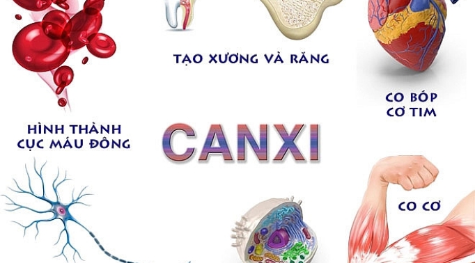 Vai trò của CANXI đối với cơ thể con người.